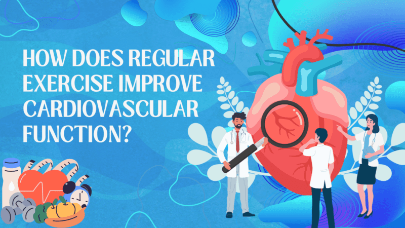 How Does Regular Exercise Improve Cardiovascular Function?